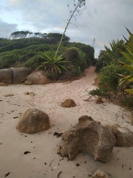Apto 80M Da Praia Grande Vista Mar! Governador Celso Ramos Buitenkant foto